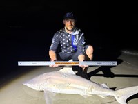 FISH ON CUSTOM LEADERS - Dylan  Smith 