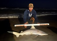 Shark Towing Co. - Lance Harms