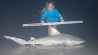 Sharkaholics - Emma Knight