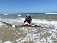 South Texas Shark Stewards - Marteen  Guardiola 