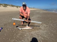 Honor Bound - Allen Carrick