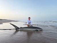 South Texas Shark Stewards - Cody  Guardiola 