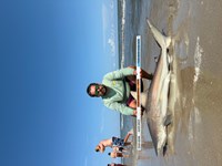 FISH ON CUSTOM LEADERS - Josh Diaz