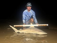 Shark Towing Co. - Lance Harms