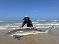 South Texas Shark Stewards - Marteen  Guardiola 