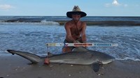 Sharkaholics - David Crain