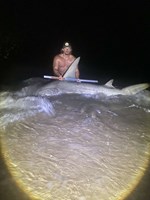 Low Tide Mafia - Wade Boatright
