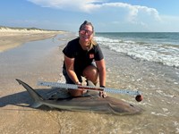 KASH FISHING - Ashley Meadows