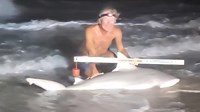 Sharkaholics - David Crain