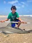 SharkFeenz - Mark Turner