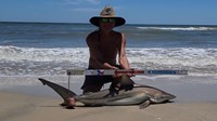 Sharkaholics - David Crain