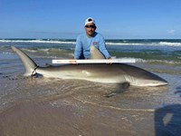 South Texas Shark Stewards - Pedro Elizalde 