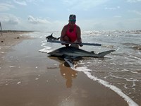 Just Bitten Shark Fishing Team - Katie  Dickey
