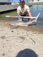 Low Tide Mafia - Wade Boatright