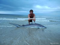 Shark at the Moon - Erik Schneider