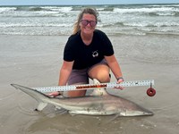 KASH FISHING - Ashley Meadows