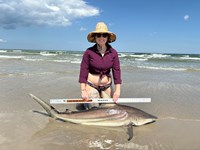 Daddy Shark - Megan  Markowsky