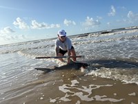 Low Tide Mafia 2 - Austin Erebia 