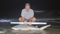 Sharkaholics - Shane Belair