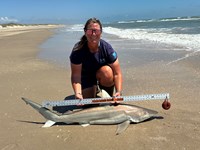 KASH FISHING - Ashley Meadows