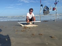 Low Tide Mafia 2 - Austin Erebia 
