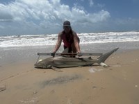 Team JackWagon - Kimberly Collier