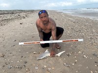 SharkFeenz - Christopher  Turner