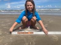 Sharkaholics - Emma Knight
