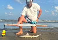 FinsUpDallas - Nicholas Conklin