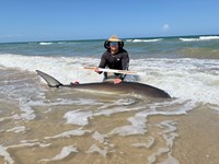 South Texas Shark Stewards - Marteen  Guardiola 