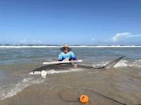 South Texas Shark Stewards - Marteen  Guardiola 