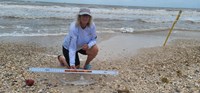 Team Breakaway  - Carol  Cox