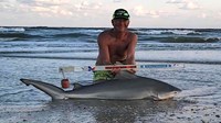 Sharkaholics - David Crain