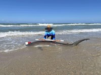 South Texas Shark Stewards - Marteen  Guardiola 