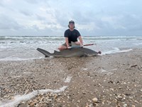 Low Tide Mafia 2 - Cody Madden