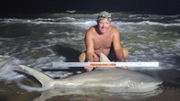 Sharkaholics - Shane Belair