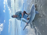 Low Tide Mafia - Ismael Caballero