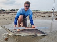 Up Coast Sharkers - Trenton Williams