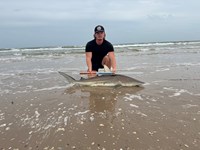 Low Tide Mafia - Wade Boatright