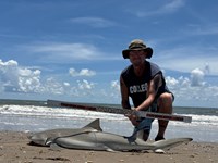 Just Bitten Shark Fishing Team - Walter Colton