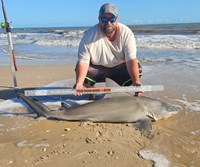 Rodeo Heroes - Donnie Tidwell