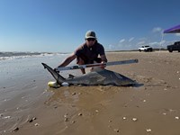 Team JackWagon - Blair Clendennen