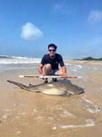 SharkFeenz - Alston Huesers 