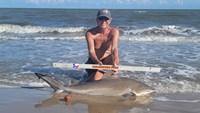 Sharkaholics - David Crain
