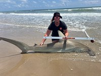 KASH FISHING - Ashley Meadows