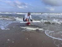FISH ON CUSTOM LEADERS - Joey Hansen