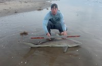Shark Towing Co. - Nick  Domine