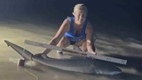 Sharkaholics - Erika Green