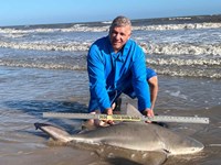 Team Spinning Krazy - Alexander Reyes