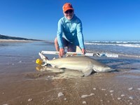 Chum Don't Run - Stanley Crane